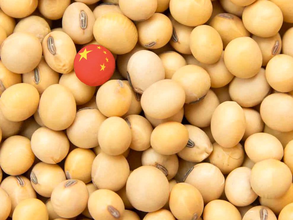 Brasil já vendeu mais de 50 milhões de toneladas de soja para a China em 2020